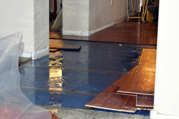 Professional Flood Cleanup technician working in Marshall, AR